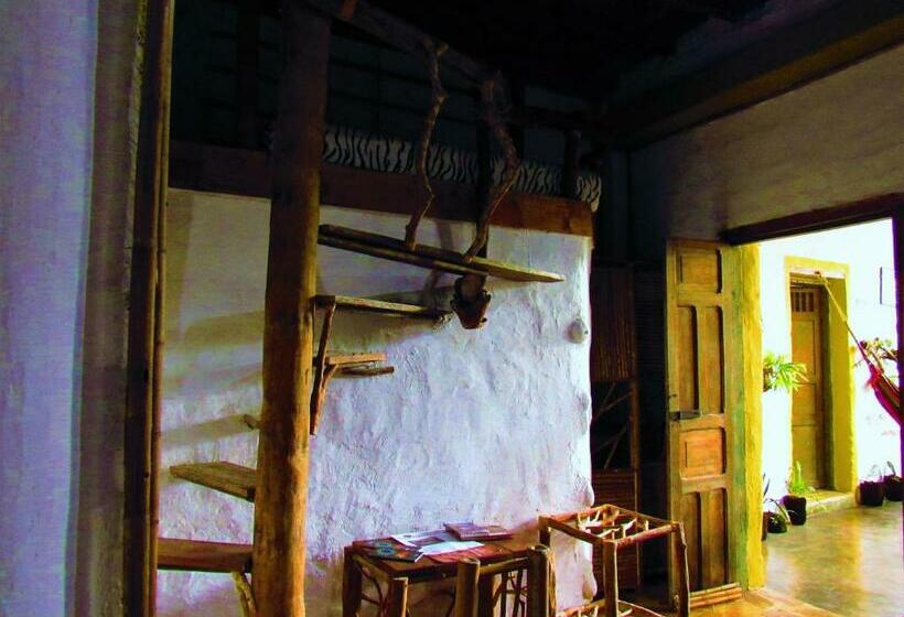 اتاق استاندارد, Casa Tarzan