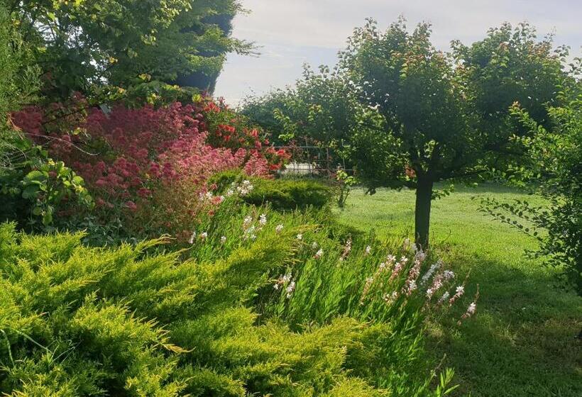 标准房带园景, La Gourmandine