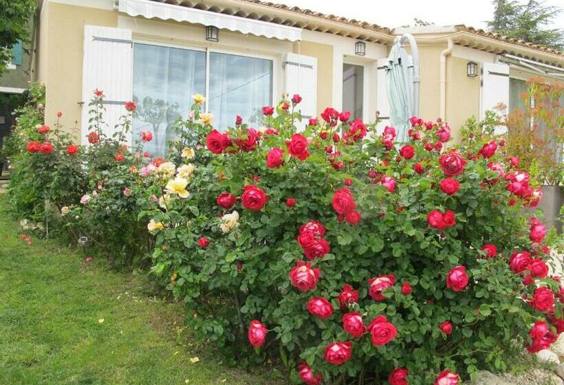 غرفة سوبيريور, Lou Cardalines