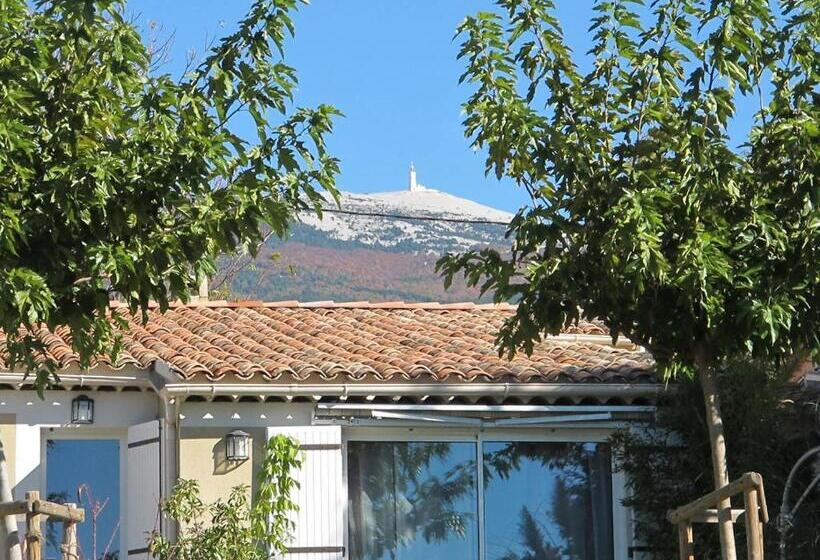 غرفة سوبيريور, Lou Cardalines