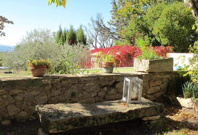 غرفة قياسية, Lou Cardalines