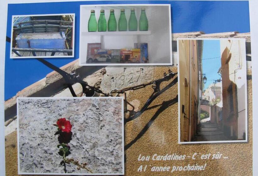 شقة غرفة واحدة, Lou Cardalines