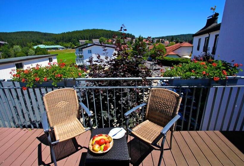 Номер Стандартный с Видом, Parkhotel Flora Am Schluchsee
