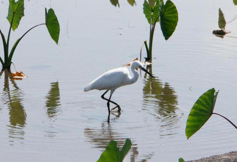 خانه 2 خوابه, Park 61