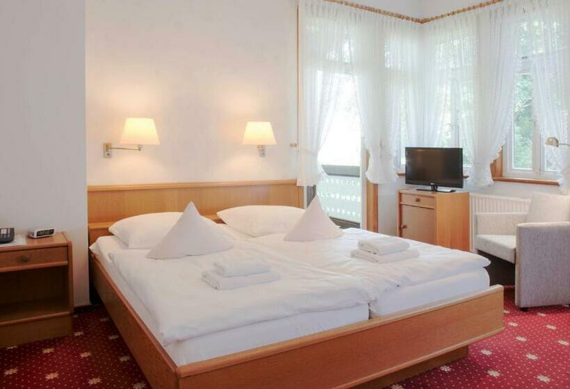 Номер Стандарт, Ferien  Und Wellnesshotel Waldfrieden
