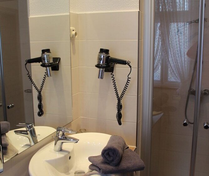 스탠다드 싱글 룸, Ferien  Und Wellnesshotel Waldfrieden