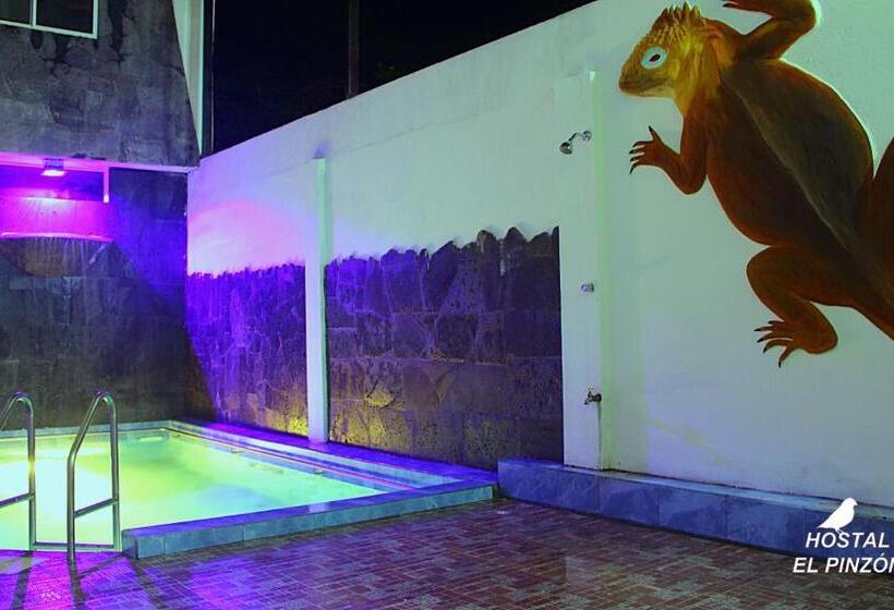 اتاق استاندارد, Hostal El Pinzón
