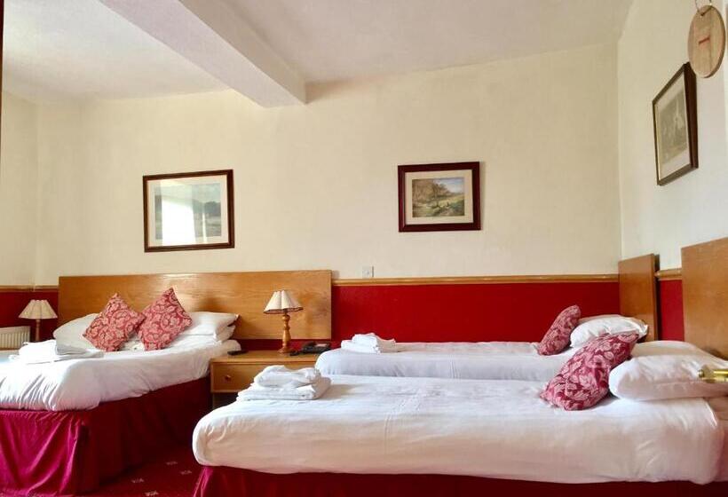 Семейный Номер, Plas Coch Hotel Ltd
