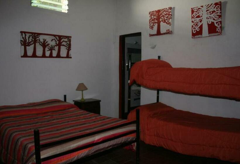 4인용 스탠다드 룸, Andamundos Hostel