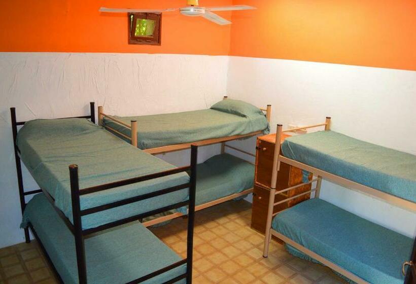 공동 객실, Andamundos Hostel