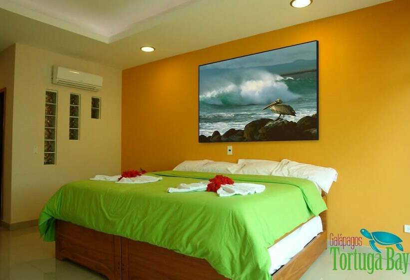 스탠다드 룸, Galapagos Tortuga Bay