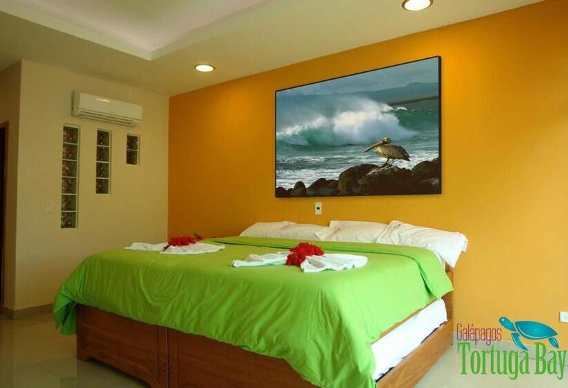 스탠다드 싱글 룸, Galapagos Tortuga Bay