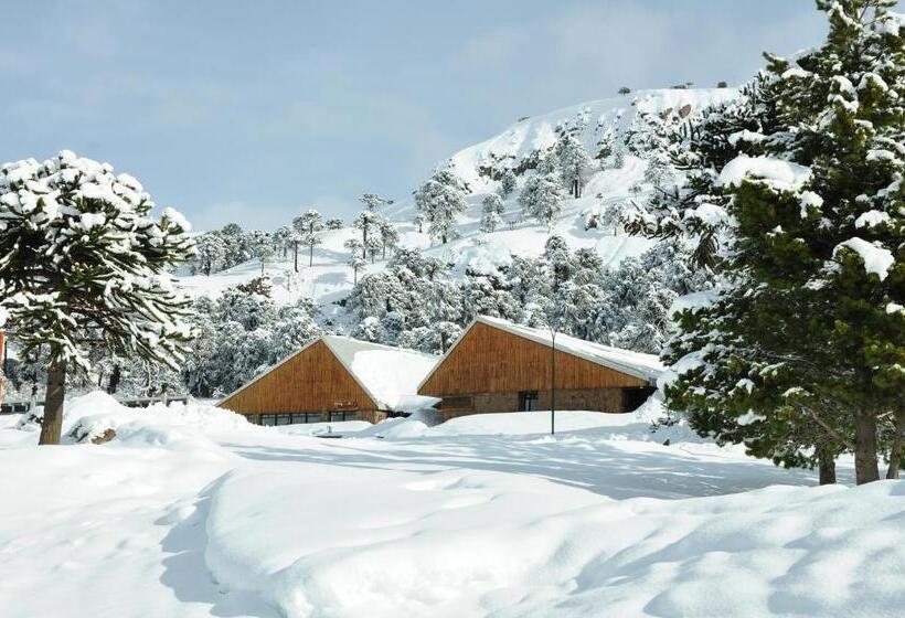 스탠다드 룸, Y Cabañas Del Nevado