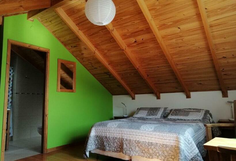 חדר סטנדרט, Nothofagus Bed & Breakfast