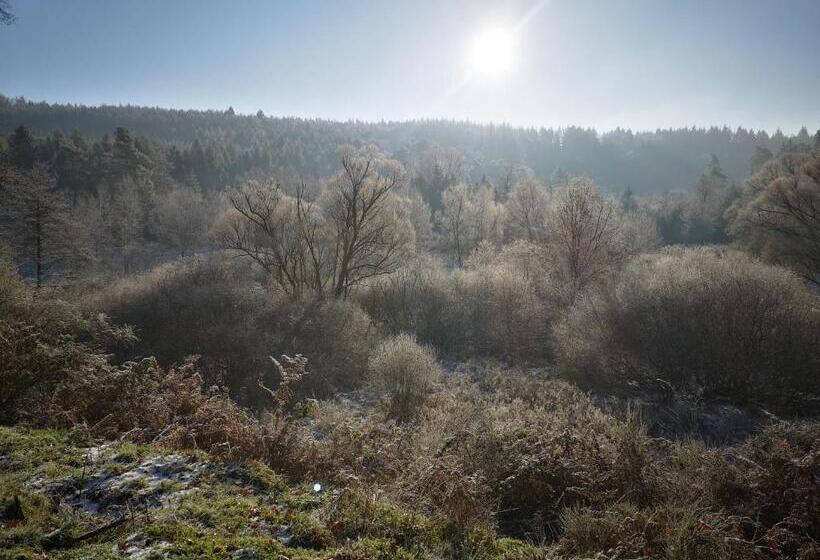 Семейный Номер Superior, Maison D Hôtes De Charme   Ancien Moulin En Pleine Nature   La Paulusmühle