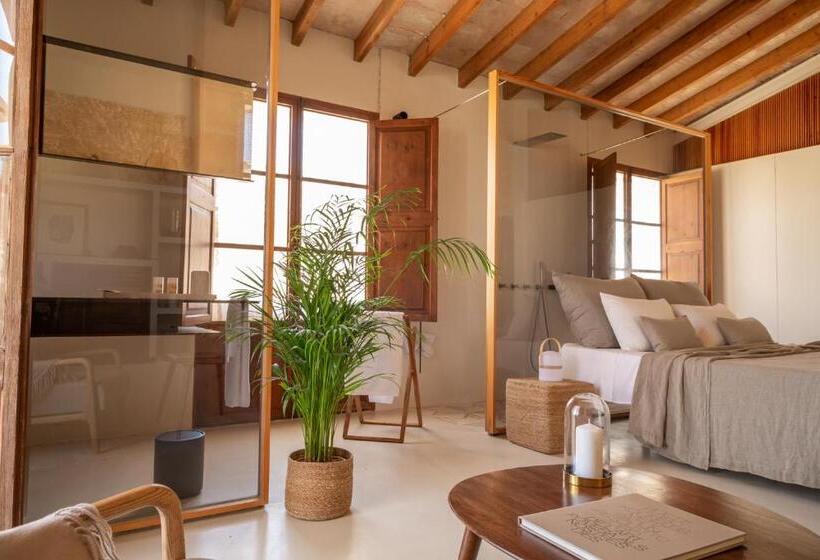 اتاق لوکس با تراس, Can Moio Turismo De Interior