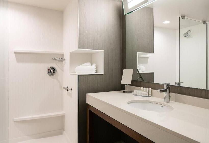 Стандартный Номер Кровать Кинг, Courtyard By Marriott Omaha Bellevue At Beardmore Event Center