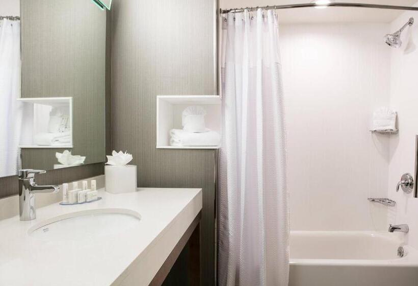 Номер Стандарт, Courtyard By Marriott Omaha Bellevue At Beardmore Event Center