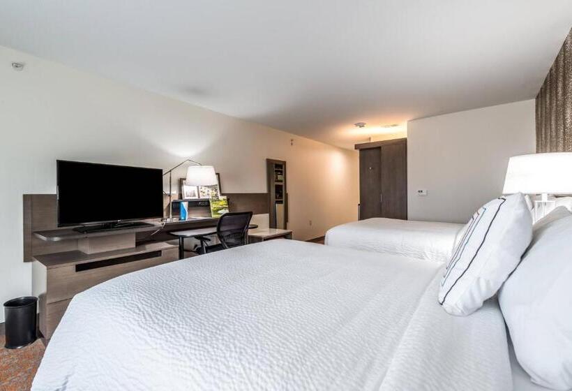 Номер Стандарт, Fairfield Inn & Suites By Marriott St. Joseph Stevensville