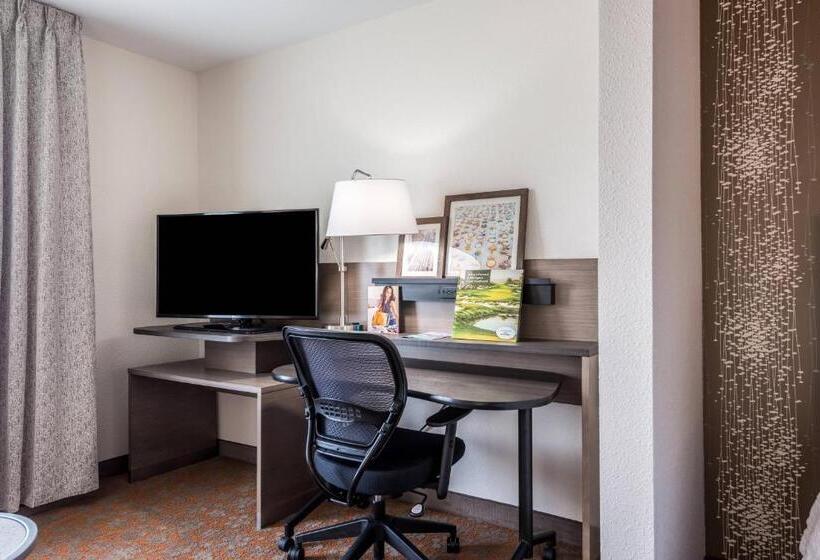 Студия Deluxe, Fairfield Inn & Suites By Marriott St. Joseph Stevensville