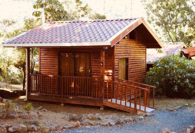 Апартаменты 1 Спальня, Cabañas San Gerardo