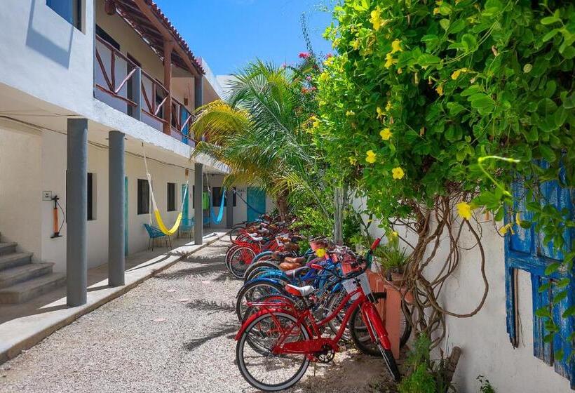 استودیو استاندارد با چشم‌انداز باغ, Casa Toloc Tulum