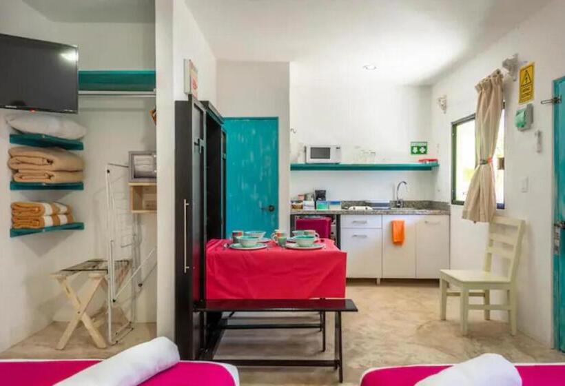 استودیو استاندارد با چشم‌انداز باغ, Casa Toloc Tulum