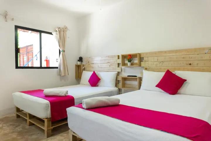 استودیو استاندارد با چشم‌انداز باغ, Casa Toloc Tulum