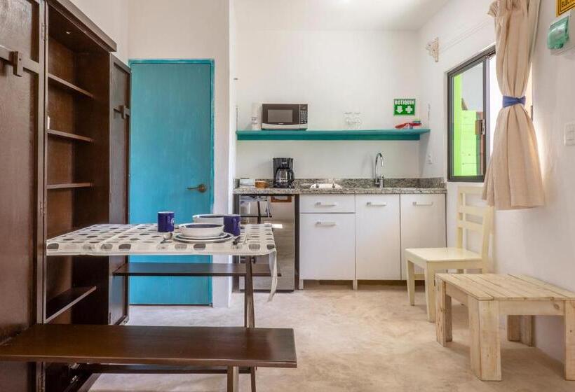 استودیوی لوکس, Casa Toloc Tulum