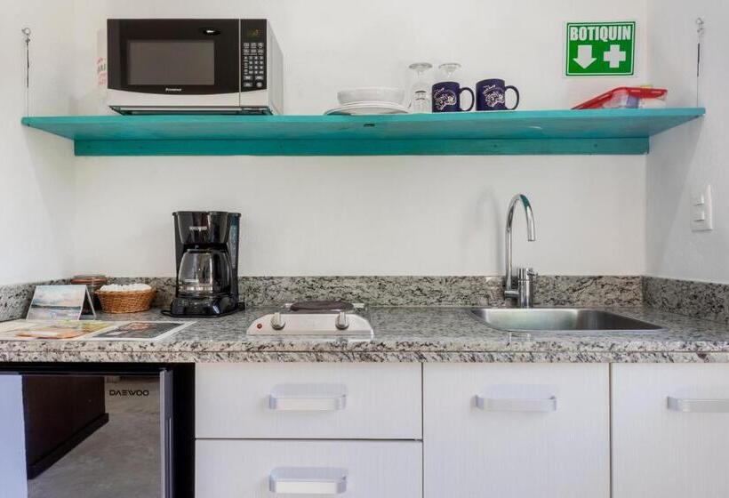 استودیوی لوکس, Casa Toloc Tulum