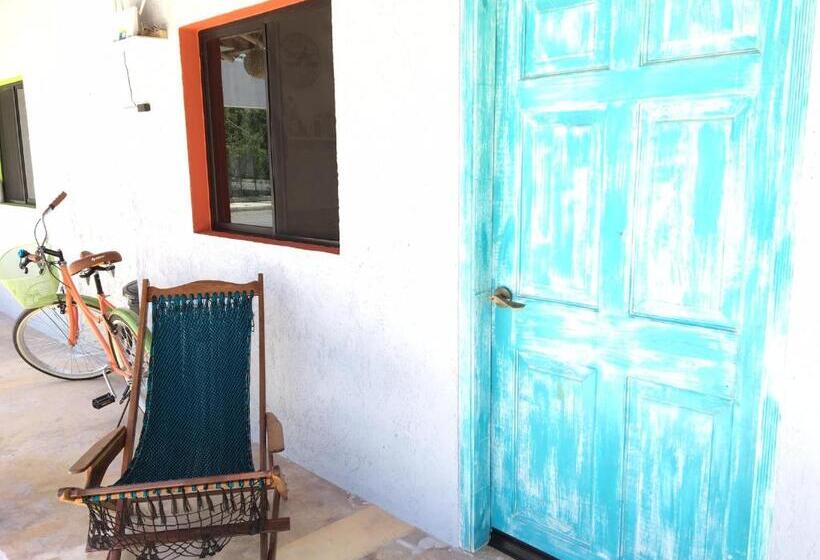 استودیوی استاندارد, Casa Toloc Tulum
