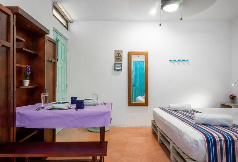 استودیوی سوپریور, Casa Toloc Tulum