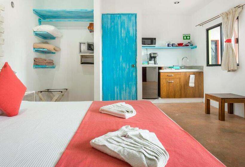 استودیوی لوکس, Casa Toloc Tulum