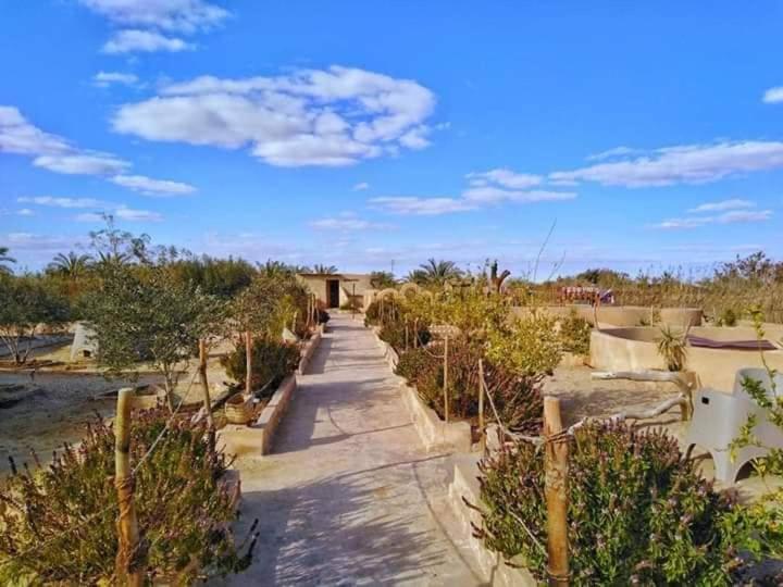 اتاق استاندارد با چشم‌انداز باغ, Bedouin