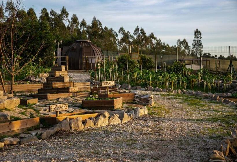 Апартаменты 2 Спальни, Casas Da Gralha