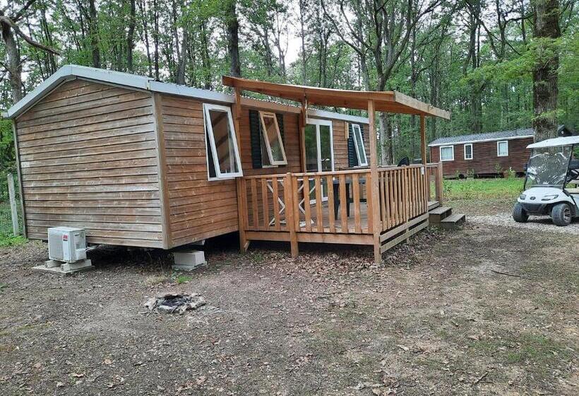스탠다드 룸, Une Petite Chambre En Forêt à Saint Chéron
