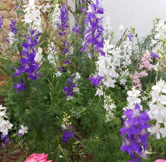Номер Economy Индивидуальный, Mystery Garden Guest House