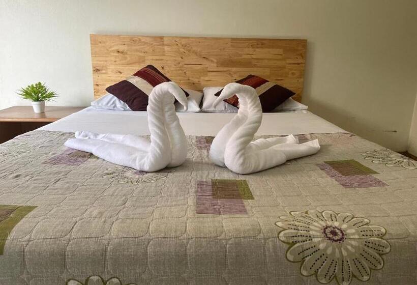 Номер Стандарт, Chat Residence