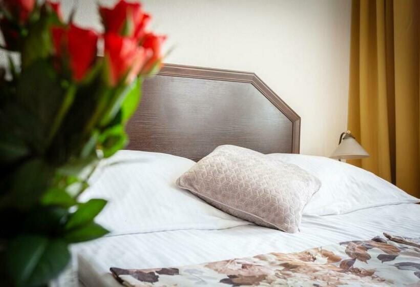 Номер Стандарт Индивидуальный, Salis Resort