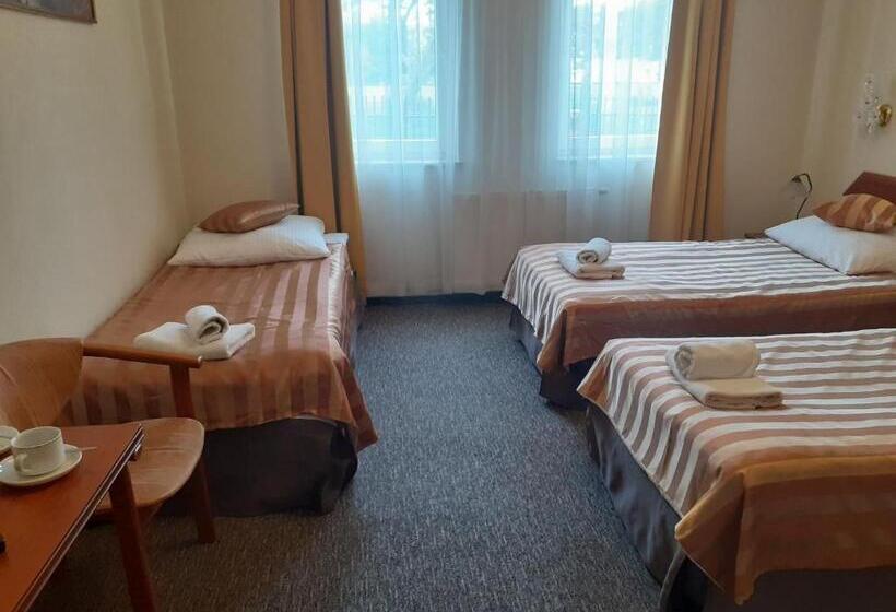 Номер Стандарт Трехместный, Salis Resort