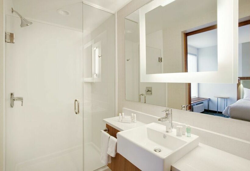 Люкс, Springhill Suites By Marriott Murray