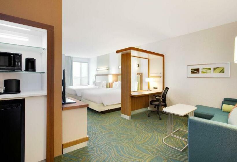 Люкс, Springhill Suites By Marriott Murray