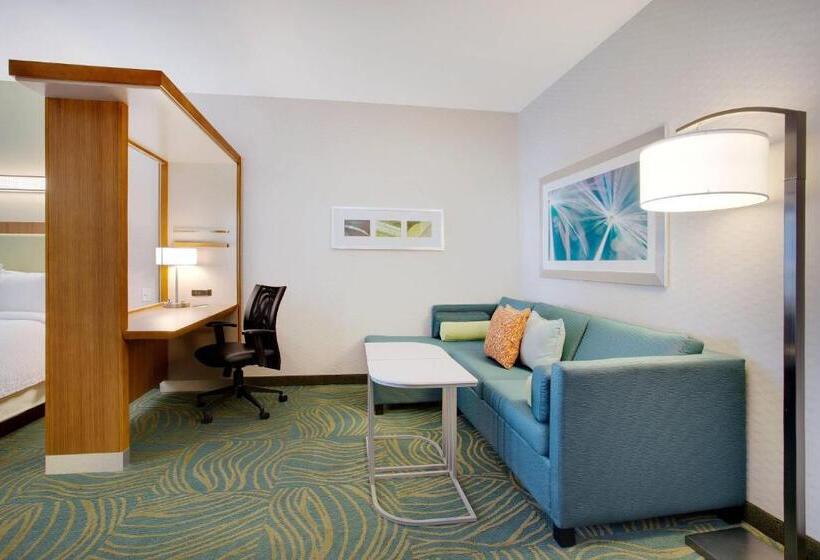 Люкс Адаптированный для Инвалидов, Springhill Suites By Marriott Murray
