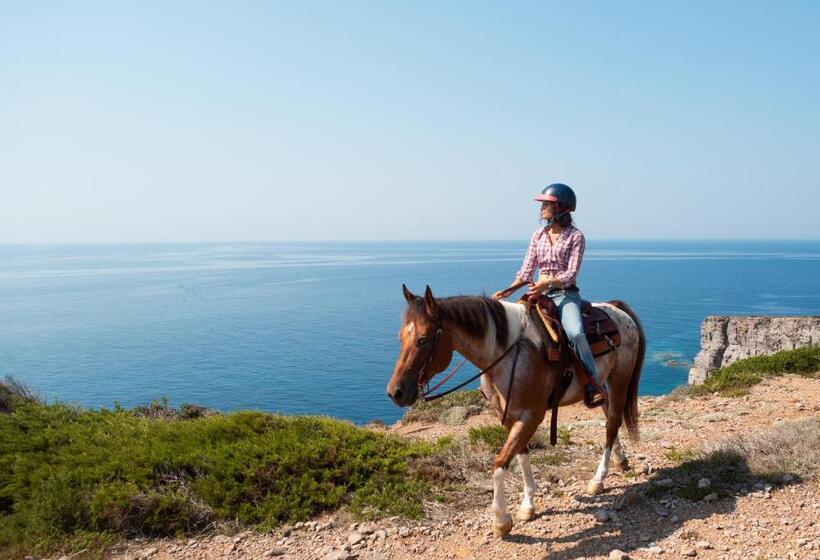 Четырехместный Номер Базовый, Lu  Hotel Porto Pino