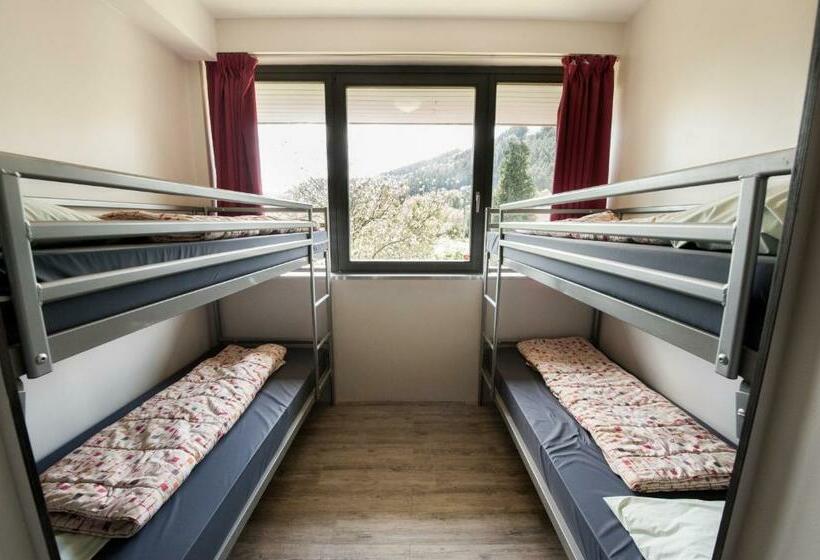 تختخواب در اتاق مشترک, Malmedy Youth Hostel