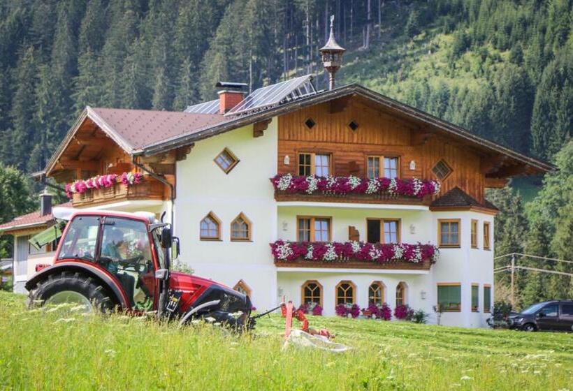 1ベッドルームアパートメント, Berghotel Lämmerhof