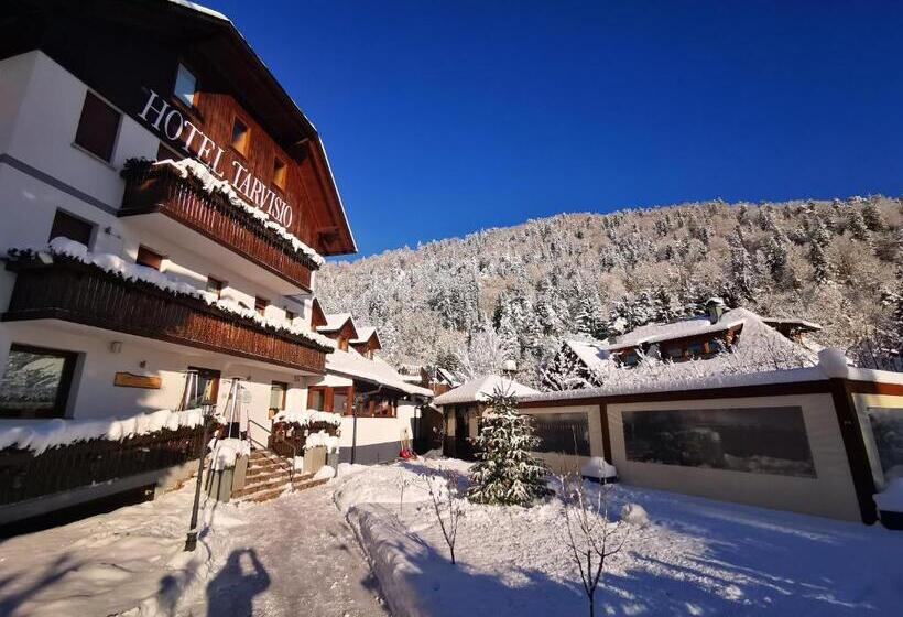 Номер Стандарт Трехместный, Tarvisio Four Seasons