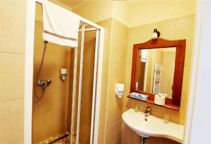 Habitación Estándar Individual, Oazis Panzió
