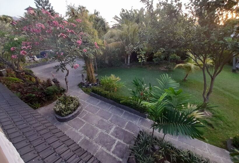 Номер Стандарт, Puri Bali