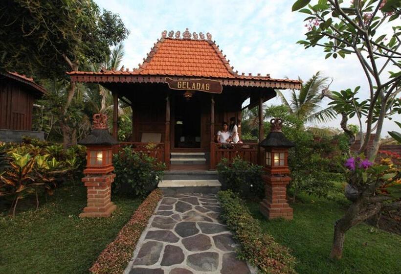이코노미 룸, Shanti Natural Panorama View
